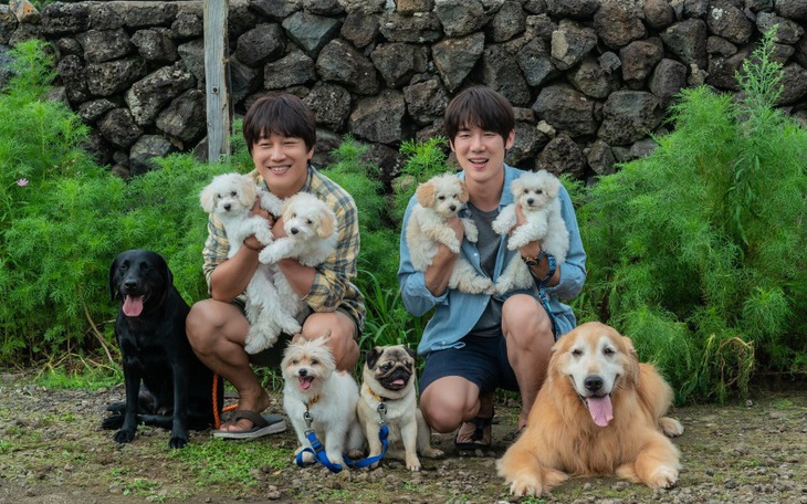 Yoo Yeon Seok, Cha Tae Hyun tuyển 