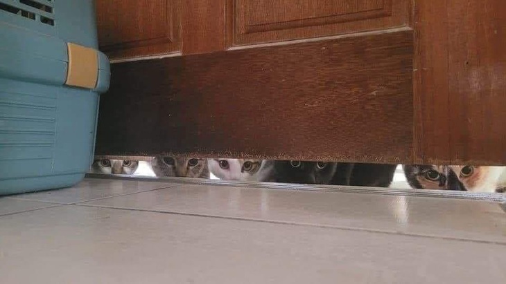 Ảnh vui 8-3: Uống nhầm ánh mắt mà say cả đời! - Ảnh 2.