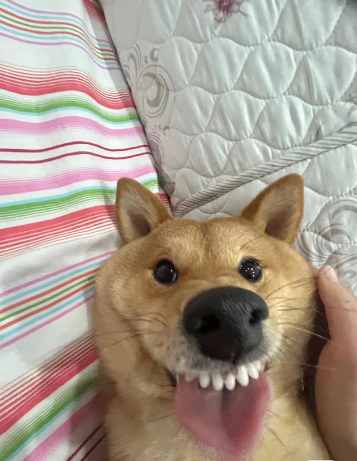 Ảnh vui 8-3: Uống nhầm ánh mắt mà say cả đời! - Ảnh 6.