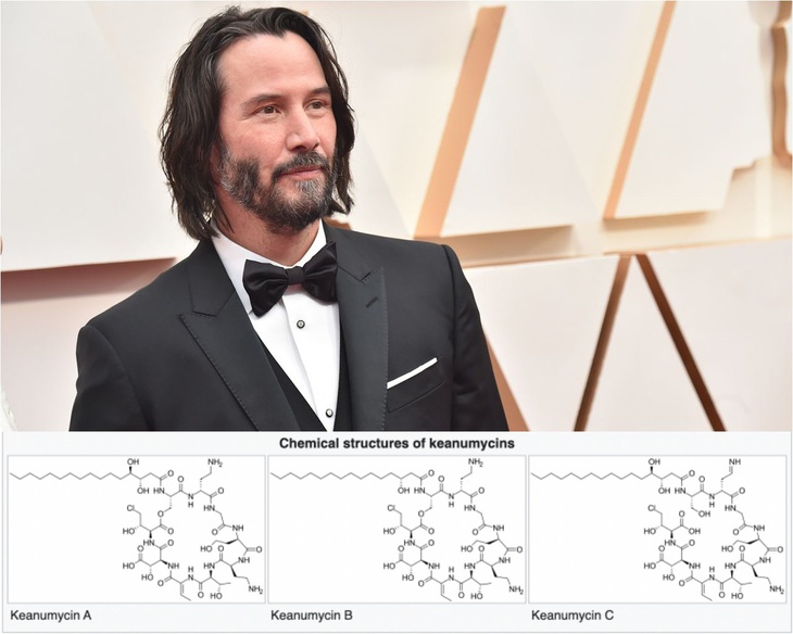 Nhà khoa học ‘mượn’ tên Keanu Reeves đặt cho hợp chất diệt nấm siêu nguy hiểm - Ảnh 1.