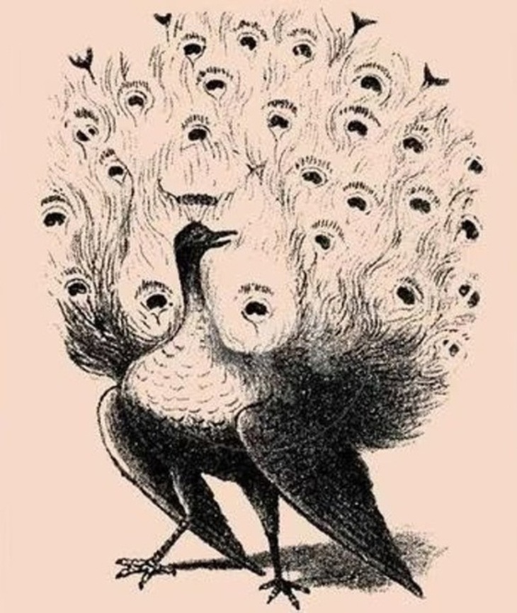 Người đầu óc tinh nhạy mới thấy 4 mặt người ẩn giấu trong tranh - Ảnh 4.