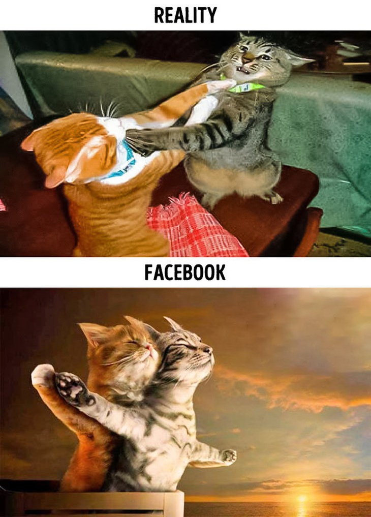 Loạt ảnh hậu trường lật tẩy các thánh sống ảo - Ảnh 6.