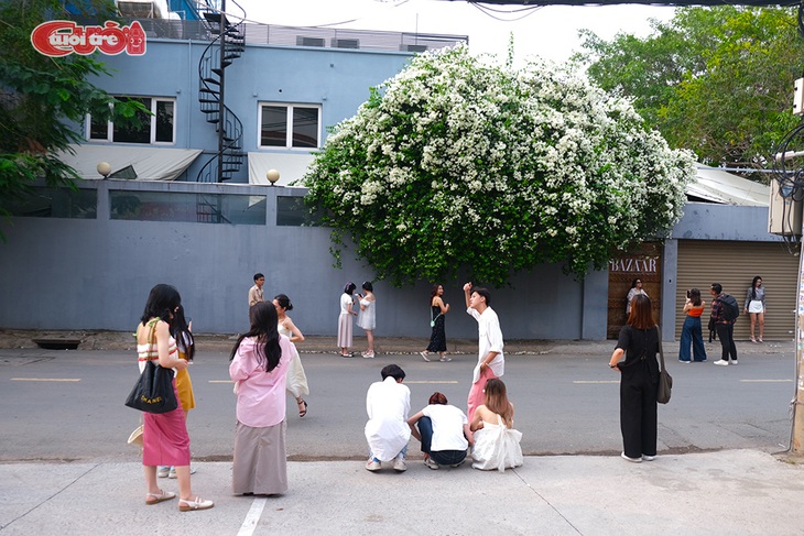 Mê mệt check-in với giàn hoa giấy trắng ở TP Thủ Đức - Ảnh 2.