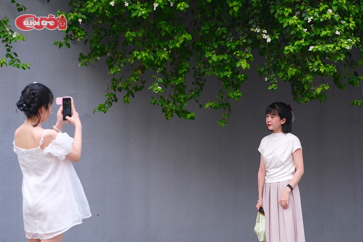 Mê mệt check-in với giàn hoa giấy trắng ở TP Thủ Đức - Ảnh 5.