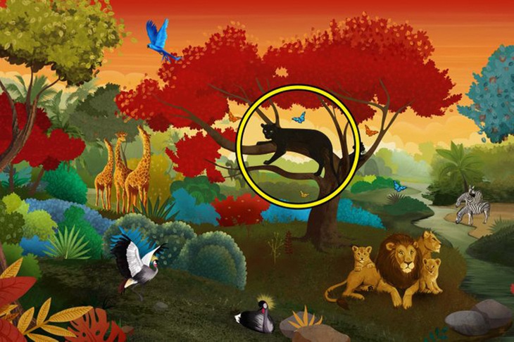 Con vật đầu tiên thấy sẽ tiết lộ vấn đề khó khăn bạn đang đối mặt - Ảnh 2.