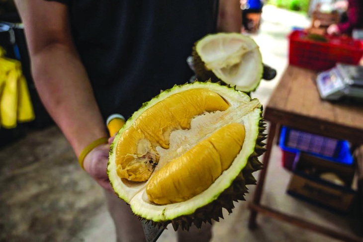 BÁN SẦU RIÊNG QUA TRUNG QUỐC: CÓ CẢ "LIễU HƯƠNG" VÀ "LAI XÚ" - Ảnh 2.