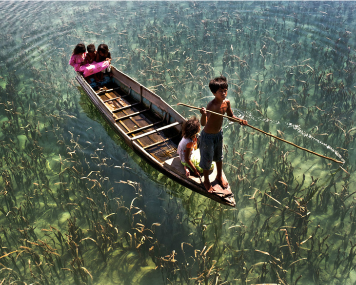 10 bức ảnh giả trân nhưng lại là hàng thật 100% - Ảnh 10.