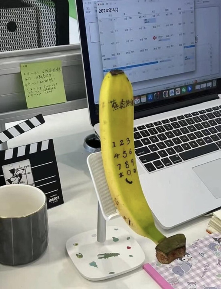 Ảnh vui 26-4: Tui mà cắn cái bằng tốt nghiệp tui làm... con chó - Ảnh 4.