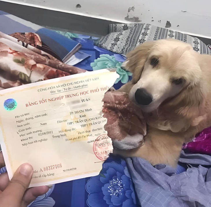 Ảnh vui 26-4: Tui mà cắn cái bằng tốt nghiệp tui làm... con chó - Ảnh 1.