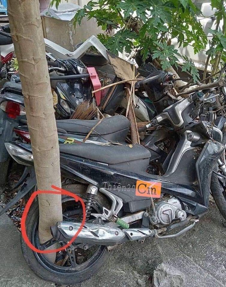 Ảnh vui 27-4: Té ngửa với bên trong trái mít được bảo vệ tận răng - Ảnh 6.