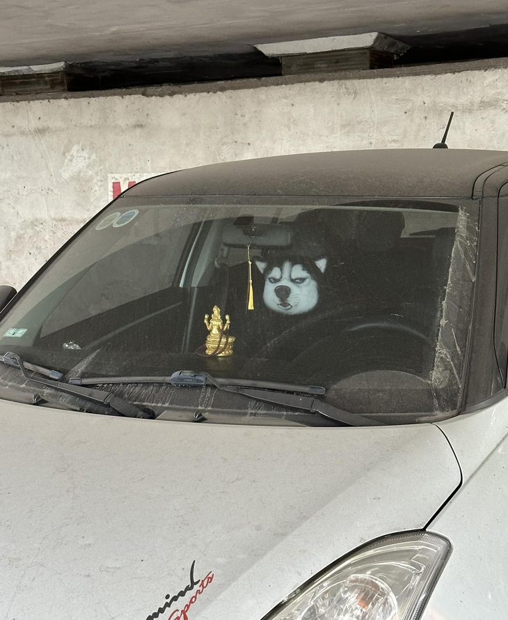 Ảnh vui 27-4: Té ngửa với bên trong trái mít được bảo vệ tận răng - Ảnh 3.