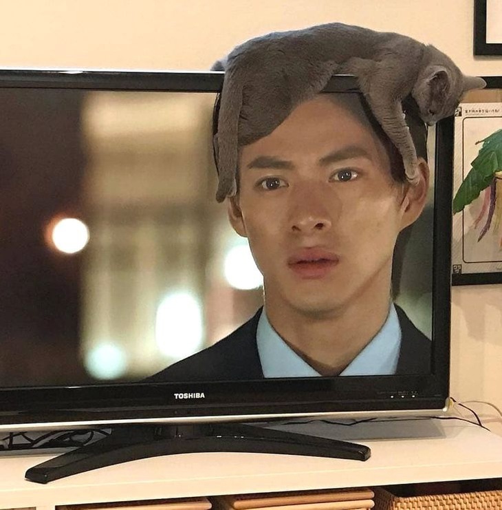 Loạt ảnh trùng hợp đến khó tin trong cuộc sống (P9) - Ảnh 5.