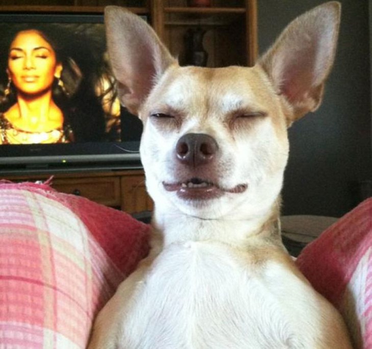 Loạt ảnh trùng hợp đến khó tin trong cuộc sống (P9) - Ảnh 4.