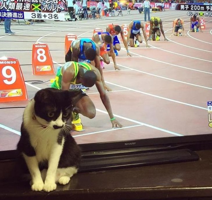 Loạt ảnh trùng hợp đến khó tin trong cuộc sống (P9) - Ảnh 3.