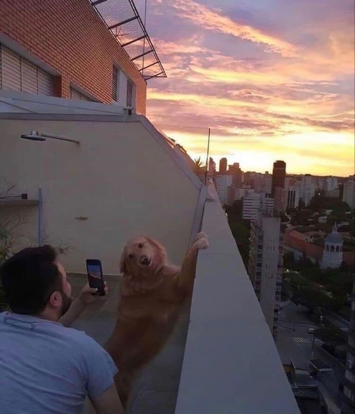 Ảnh vui 3-4: Mất 5 phút tôi mới nhận ra sự khác biệt ở đâu - Ảnh 6.