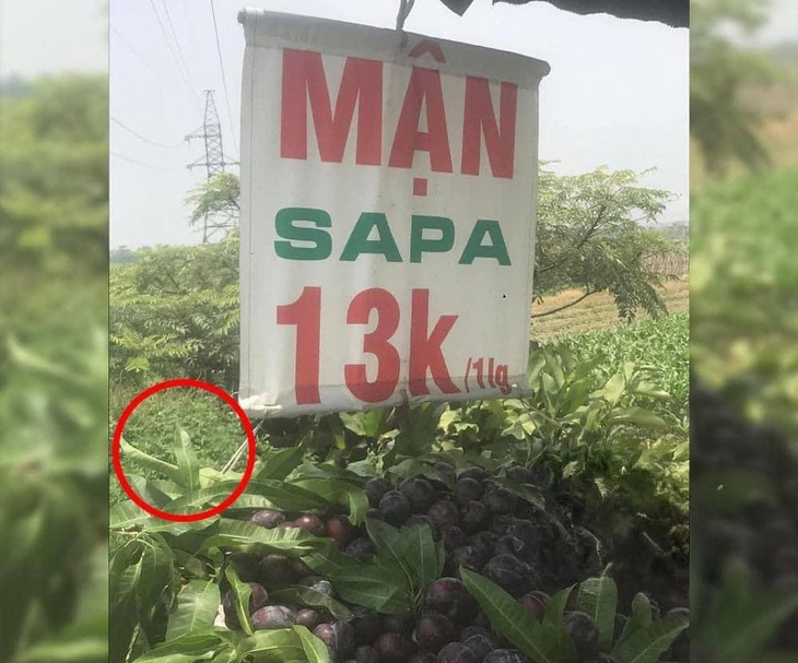 Ảnh vui 3-4: Mất 5 phút tôi mới nhận ra sự khác biệt ở đâu - Ảnh 1.