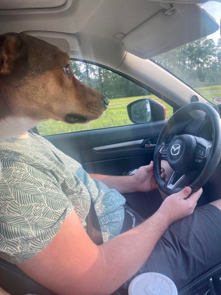 Đang căng mắt lái đây, đừng có ngồi kế bên "nhắc tuồng".