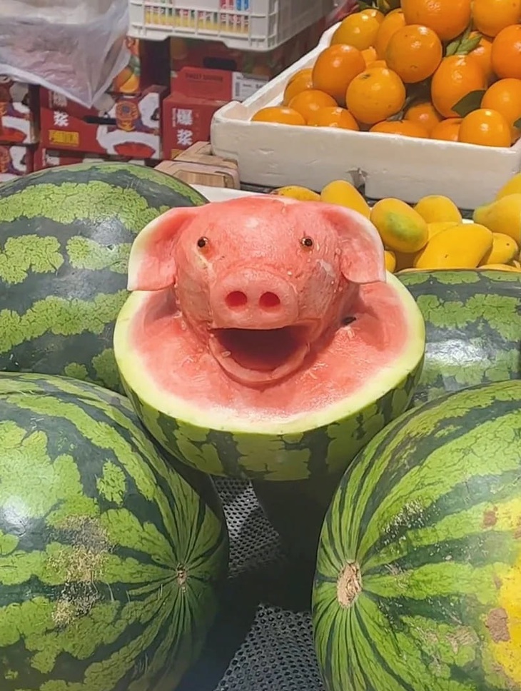 Ảnh vui 5-4: Mất cả phút mới biết hóa ra hiểu lầm - Ảnh 3.