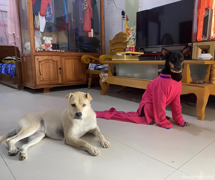 Ảnh vui 6-4: Tự nhiên đang chạy xe thì bị té - Ảnh 7.