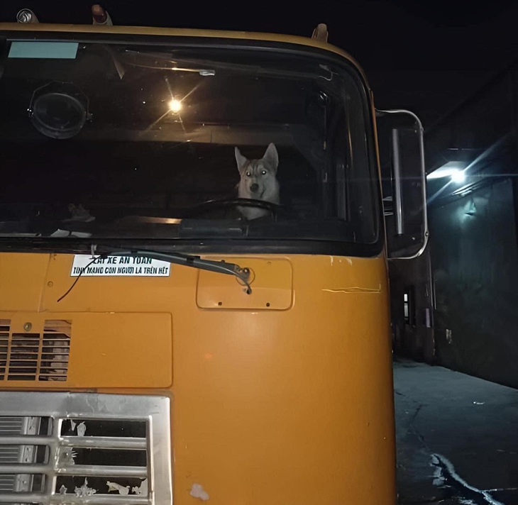 Ảnh vui 6-4: Tự nhiên đang chạy xe thì bị té - Ảnh 6.