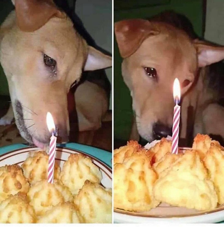 Ảnh vui 6-4: Tự nhiên đang chạy xe thì bị té - Ảnh 4.