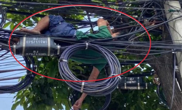 Trúng số vui quá, chàng trai leo cột điện rồi ngủ quên - Ảnh 1.