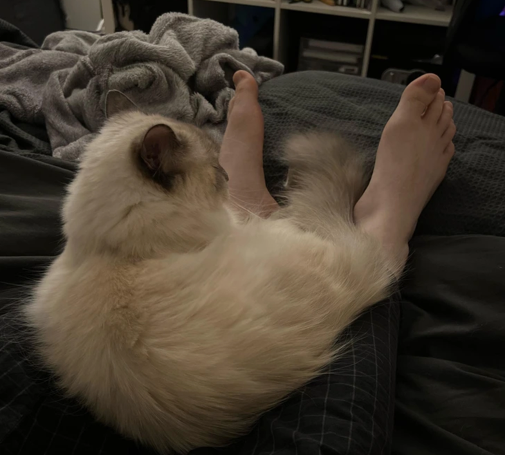 Ú oà, tự dưng đang ngủ thì mọc ra đôi chân nguồi.