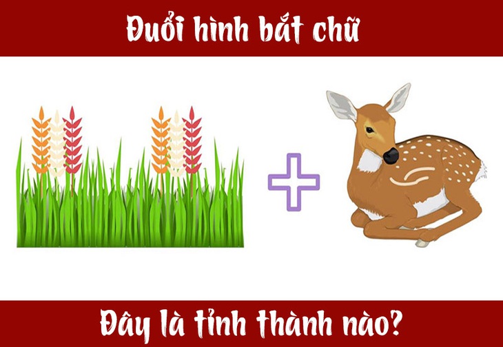 IQ cao mới biết được đây là tỉnh thành nào của Việt Nam? (P6) - Ảnh 4.