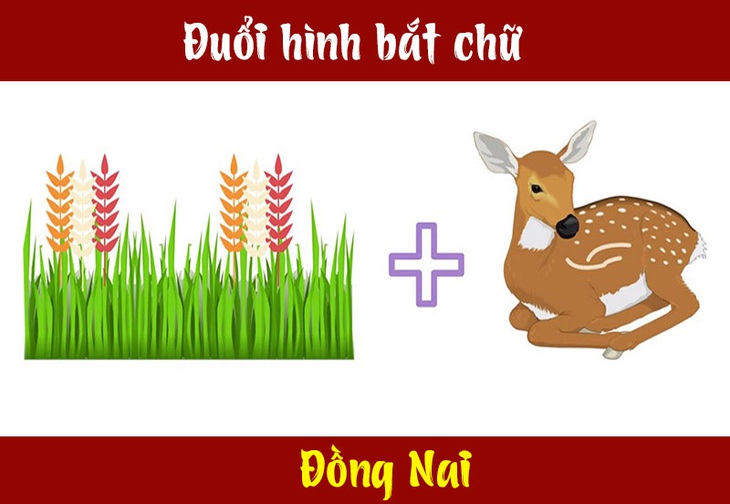 IQ cao mới biết được đây là tỉnh thành nào của Việt Nam? (P6) - Ảnh 6.