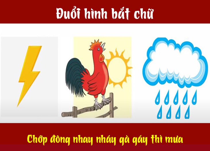 Câu tục ngữ, thành ngữ khó nhằn này là gì? (P11) - Ảnh 6.