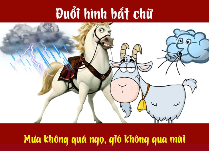 Câu tục ngữ, thành ngữ khó nhằn này là gì? (P10) - Ảnh 3.