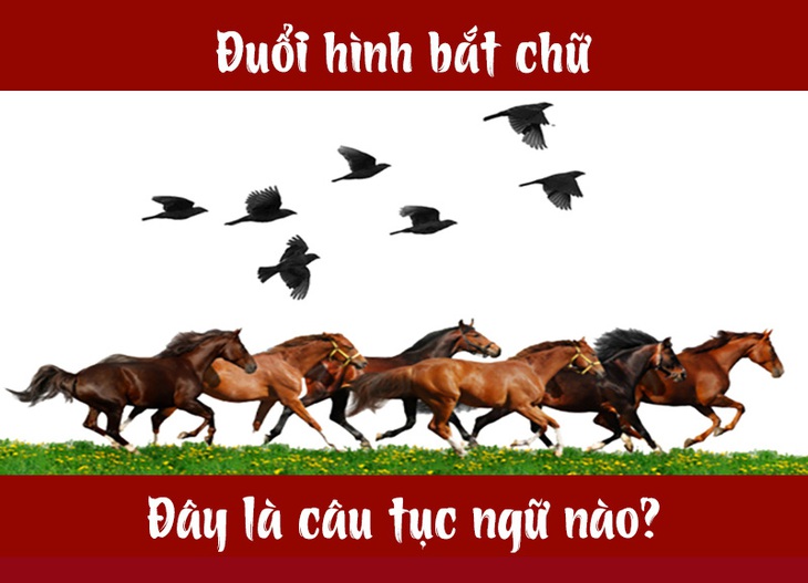 Câu tục ngữ, thành ngữ khó nhằn này là gì? (P11) - Ảnh 1.