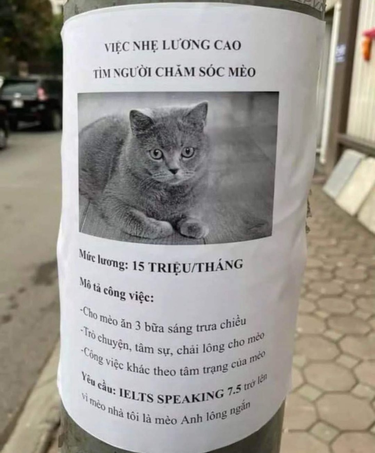 Ảnh vui 14-5: Cô gái lật mặt khi biết sự thật về chiếc bát ô tô - Ảnh 2.