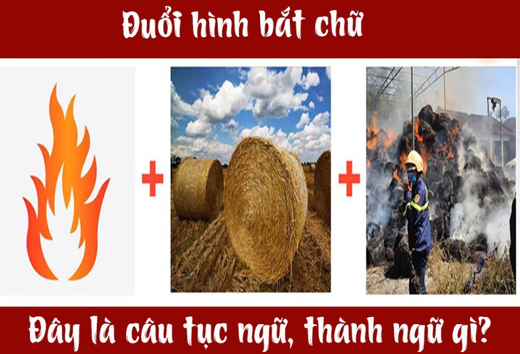 Câu tục ngữ, thành ngữ khó nhằn này là gì? (P12) - Ảnh 7.