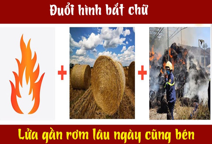 Câu tục ngữ, thành ngữ khó nhằn này là gì? (P12) - Ảnh 9.