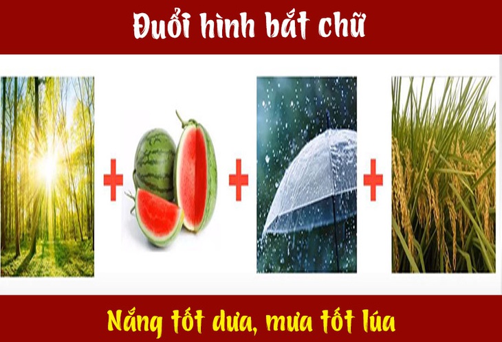 Câu tục ngữ, thành ngữ khó nhằn này là gì? (P13) - Ảnh 9.