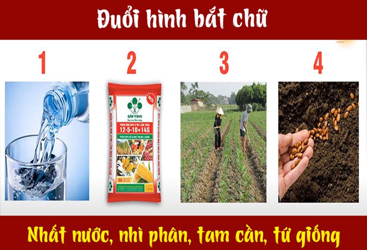 Câu tục ngữ, thành ngữ khó nhằn này là gì? (P13) - Ảnh 6.