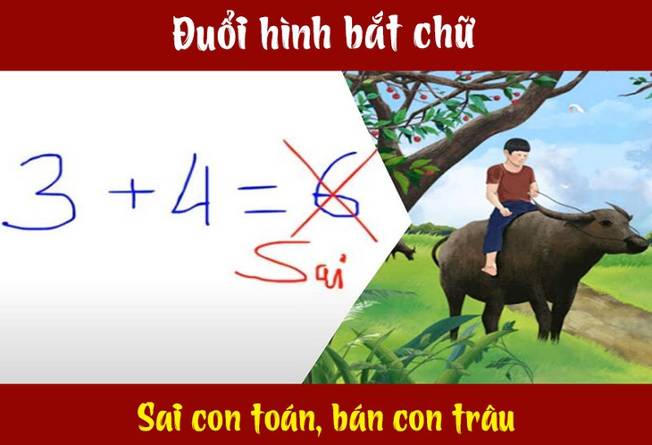 Câu tục ngữ, thành ngữ khó nhằn này là gì? (P13) - Ảnh 3.