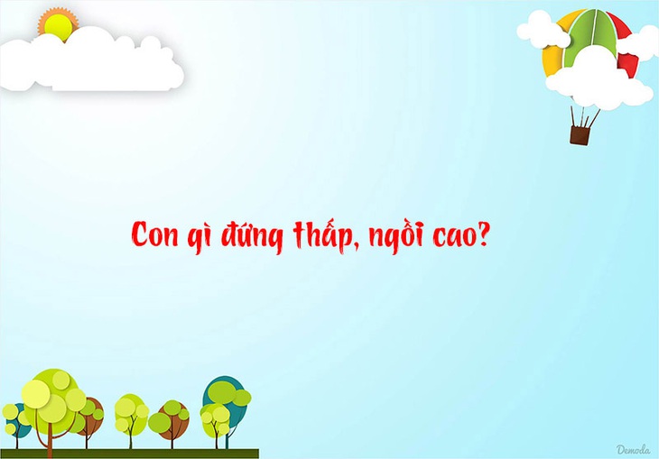 Đố vui: Con gì đứng thấp, ngồi cao? - Ảnh 1.