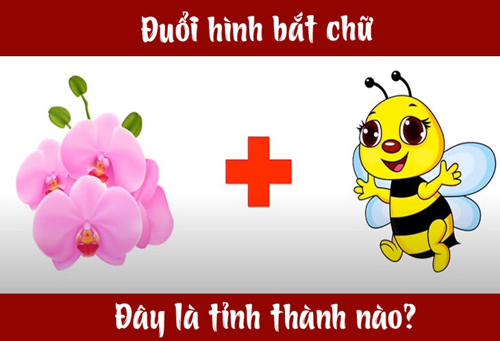 Đuổi hình bắt chữ: Đây là tỉnh thành nào của nước ta? (P18) - Ảnh 4.