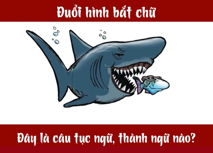 Câu tục ngữ, thành ngữ khó nhằn này là gì? (P15) - Ảnh 4.