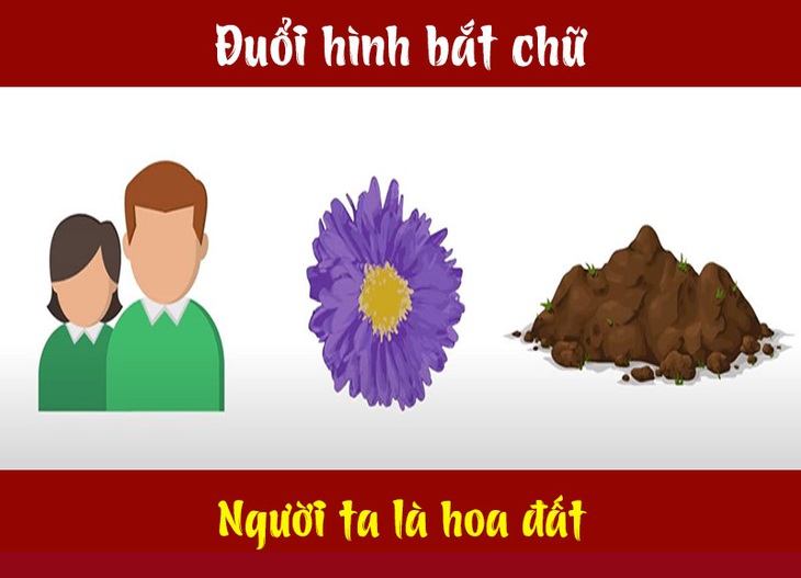 Câu tục ngữ, thành ngữ khó nhằn này là gì? (P20) - Ảnh 9.