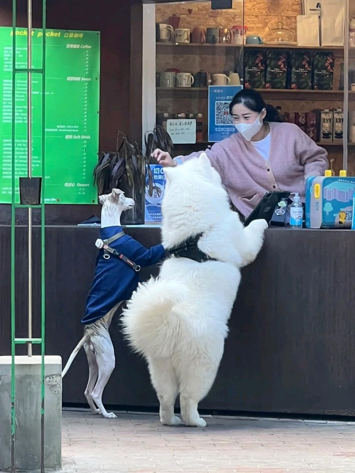 Ảnh vui 25-5: Công sức mang thai 9 tháng 10 ngày của tôi - Ảnh 4.