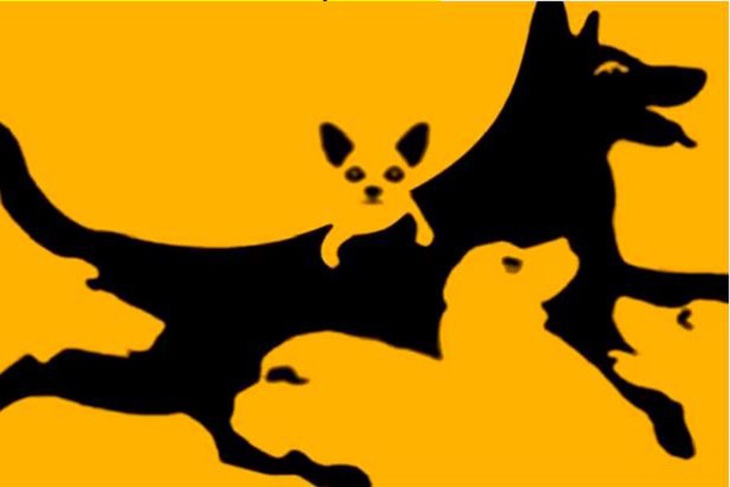 Số con vật nhìn thấy tiết lộ tuổi tinh thần của bạn - Ảnh 1.