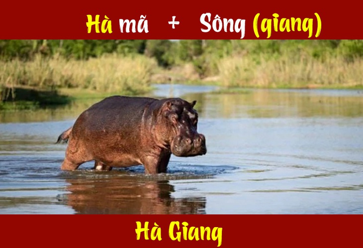 IQ cao có đoán được đây là tỉnh thành nào của Việt Nam? (P17) - Ảnh 9.