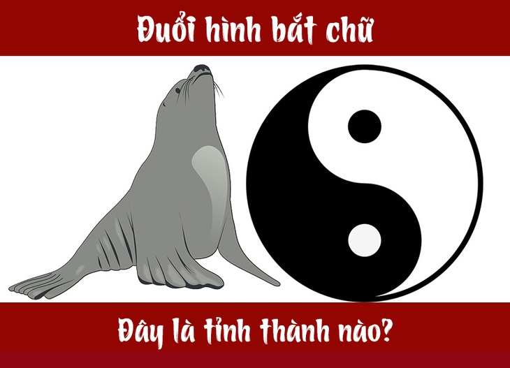 IQ cao có đoán được đây là tỉnh thành nào của Việt Nam? (P19) - Ảnh 7.