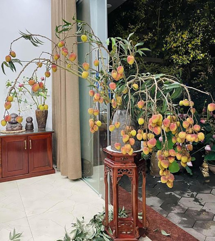 Ảnh vui 31-5: Chú ngựa chiến thắng cuộc đua nhờ cái lưỡi - Ảnh 6.