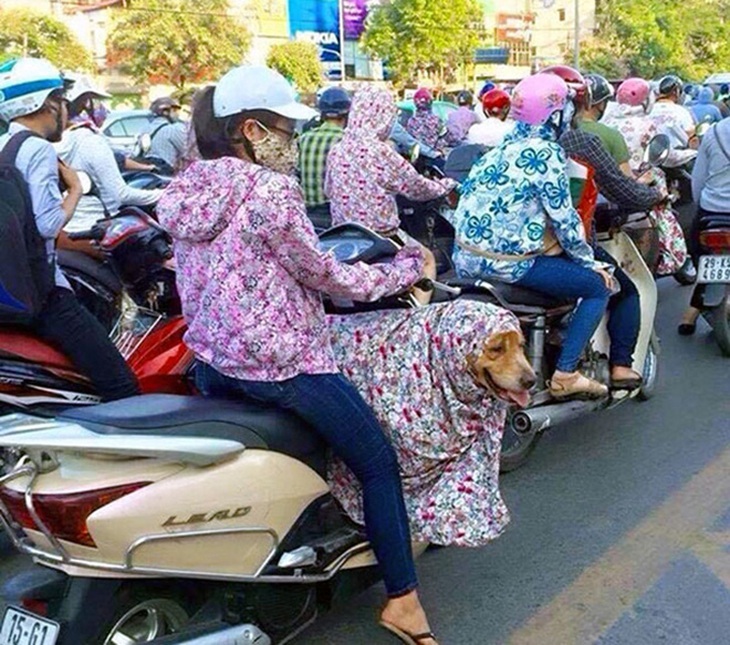 Lận lưng 9 bí kíp chống nắng bá đạo của hội thích đi dạo - Ảnh 7.