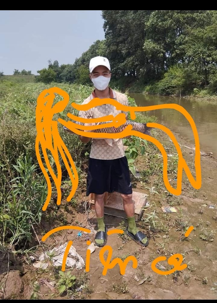 Nhờ dân mạng chỉnh ảnh, nhận được đống cá muốn lộn ruột - Ảnh 7.