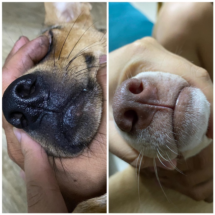 Ảnh vui 8-5: Ai không tin thì nói ảnh photoshop - Ảnh 1.